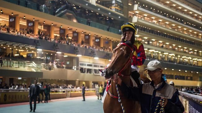 A jockey rides around the paddock before a night horse race at the Hong Kong Jockey Club in the Happy Valley district of Hong Kong.