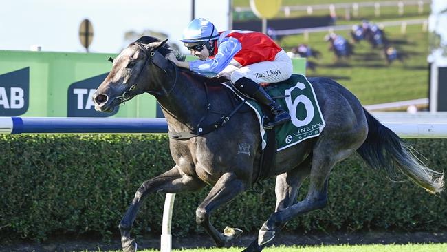 Candlewick, a half-sister to The Everest winner Classique Legend, has been heavily backed in the Hawkesbury Guineas. Picture: Bradley Photos