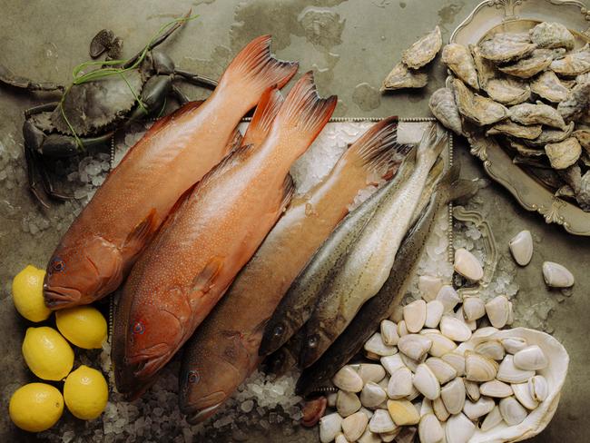 Felons Brewing Co. at Manly Wharf is expanding its operations with the announced launch of Felons Seafood, a new seafood-focused dining room and bar opening late-June 2025 at Manly Wharf.