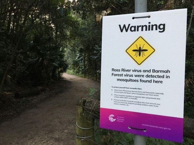 A mosquito warning sign installed by Northern Beaches Council near the Narrabeen Lagoon trail. Picture: NSW Health