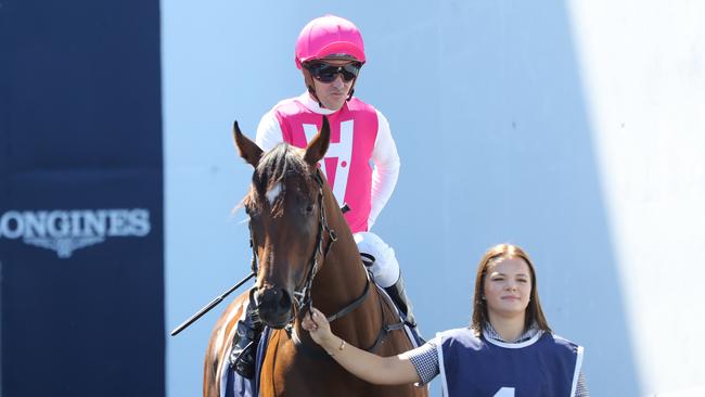 Ryan Maloney and Skirt The Law will again combine at Caulfield on Saturday. Picture: Jeremy Ng—Getty Images.