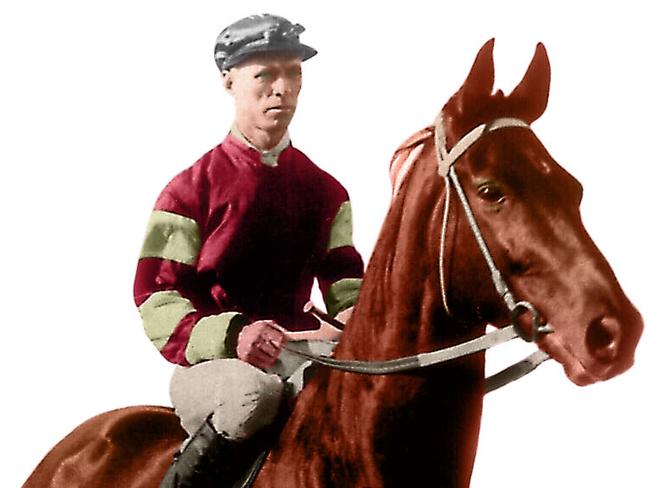 Art - painting of racehorse Phar Lap.