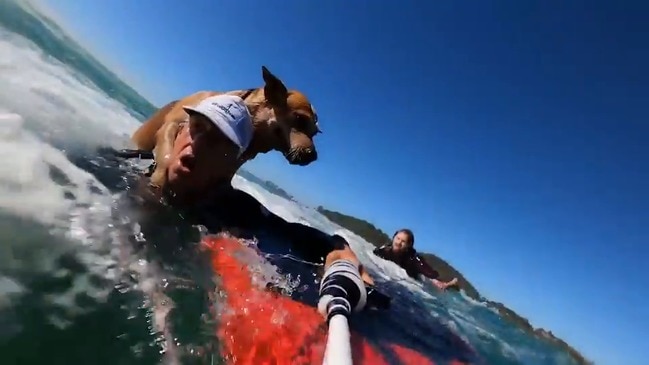 Efoil GC owner Vasco Vellez rescues a dog from the surf