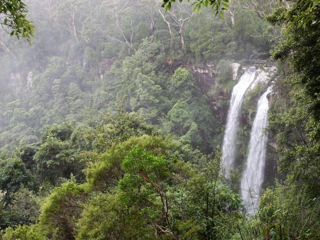 Rainforest scenes from Springbrook National Park in the Gold Coast Hinterland. Canyon Lookout's Twin Falls.