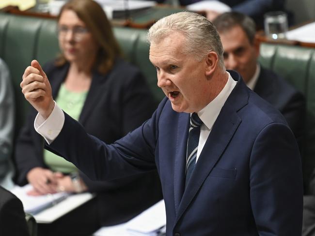 CANBERRA, AUSTRALIA, NewsWire Photos. SEPTEMBER 13, 2023: Leader of the House Tony Burke during Question Time at Parliament House in Canberra. Picture: NCA NewsWire / Martin Ollman