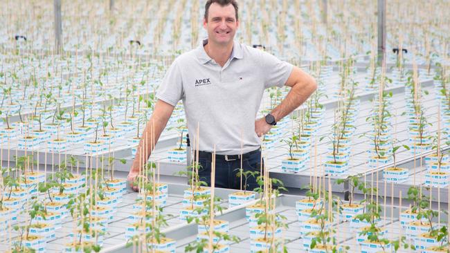 Apex Greenhouses chief executive Folco Faber. Picture: Serena Findlay