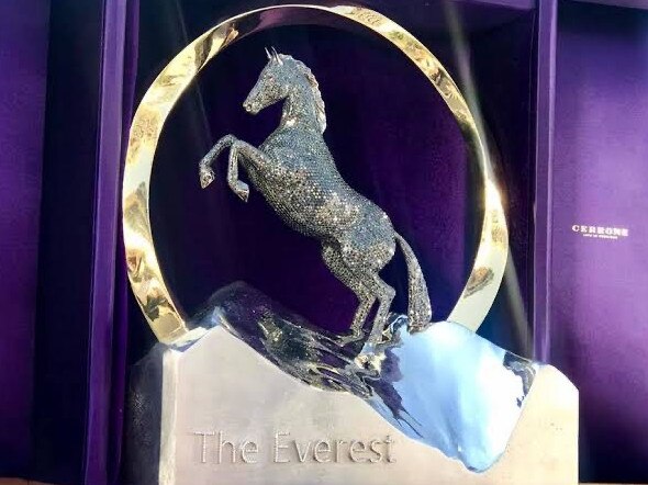 The missing $320,000 diamond-encrusted Everest trophy.