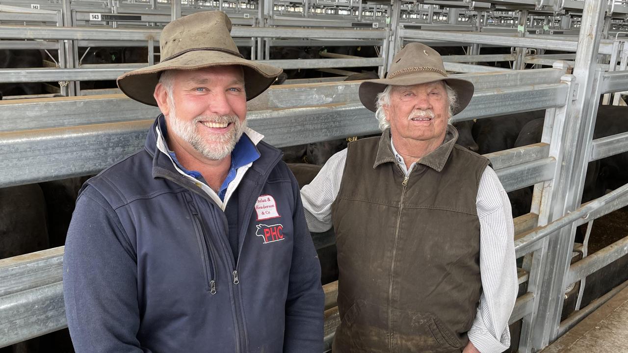 Ballarat female sale: Quality heifers reach $7/kg and above | The ...