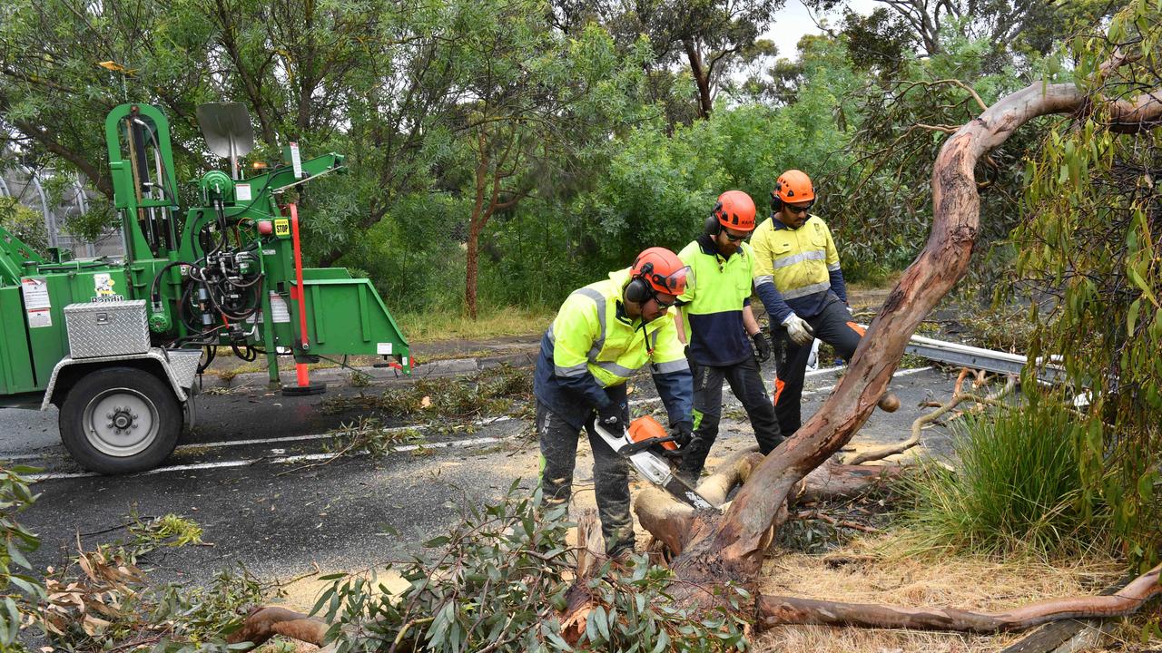 13/11/22. Storm damage - City of Mitcham council workers -  Edgecombe Pde, Blackwood.Picture: Keryn Stevens