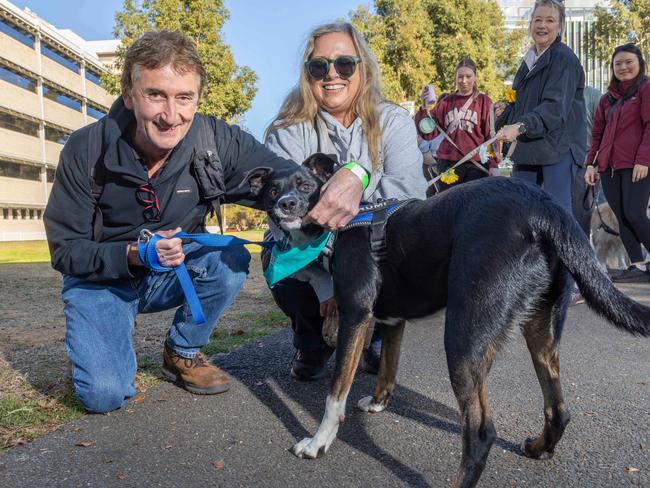 RSPCA SA's Million Paws Walk in Adelaide on May 25, 2025. Picture: Ben Clark