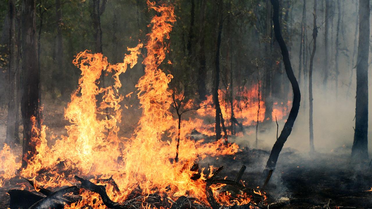 Miner puts lives at risk after lighting bushfires at camping site