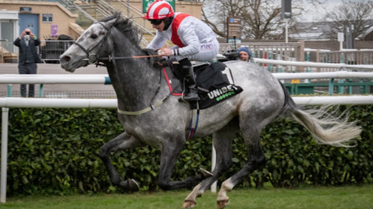 Top Rank is joining Annabel Neasham. Photo: James Tate Racing.