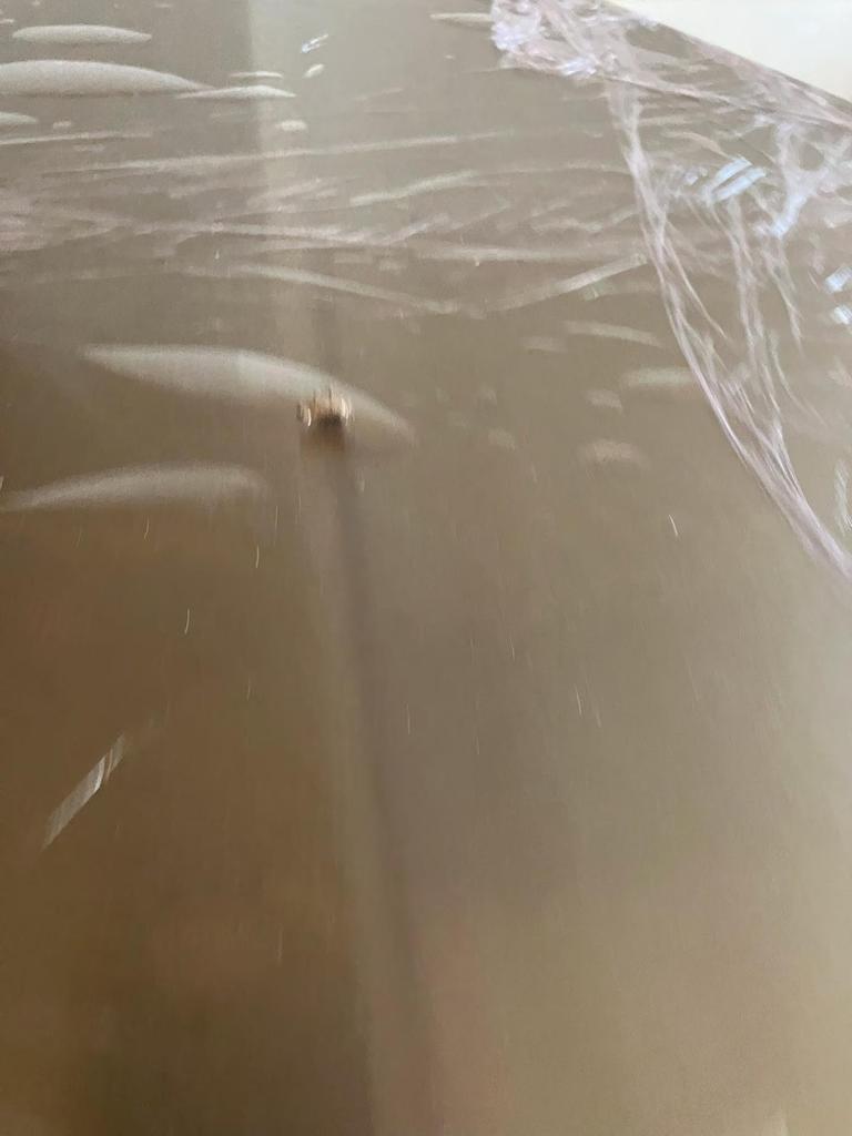 Dead cockroaches were found during the second inspection. Photos: Supplied by Courts SA