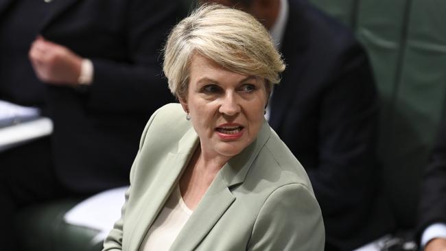 Environment Minister Tanya Plibersek points out legislation to set up a green cop didn’t include a climate trigger when it passed the lower house, but she won’t emphatically rule one out. Picture: NCA NewsWire / Martin Ollman