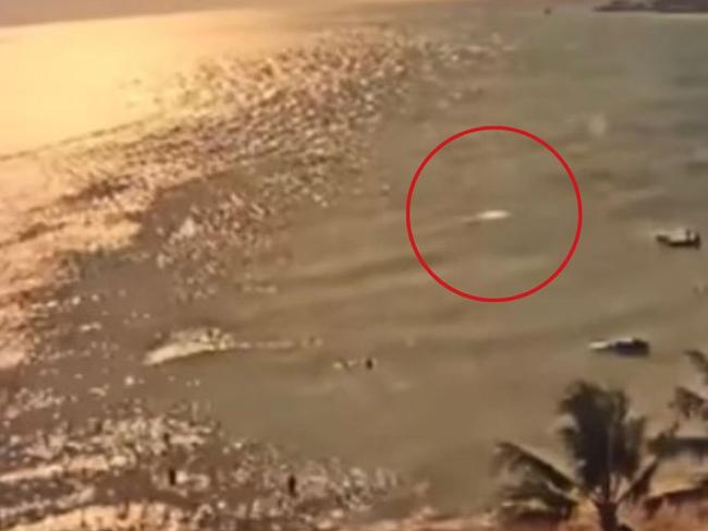 Aussie killed in shark attack