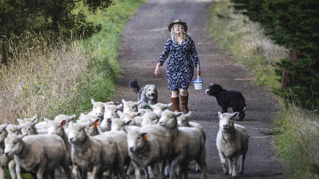 Tristia Lakey uses her new high-speed internet connection to more efficiently run her family’s farming and meat sales operation, and incorporate new digital technology into land management practices. Picture: Nicole Cleary