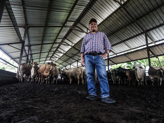 Cattle farmer Robi Agustiar. Picture: Agvi Firdaus / The Australian