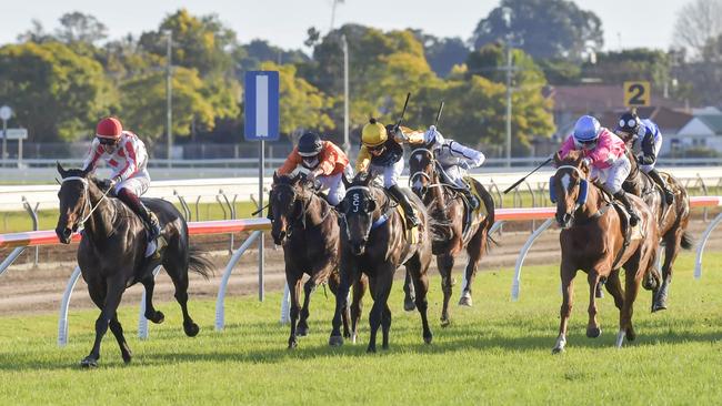 Ashley Morgan pushes Texas Storm on to win the 2021 South Grafton Cup for Bob Milligan