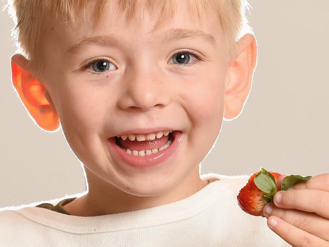 There is soon to be a shortage of strawberries due to cold weather.  Jasper,4, pictured at Sandringham enjoying some strawberries. Picture: Lawrence Pinder