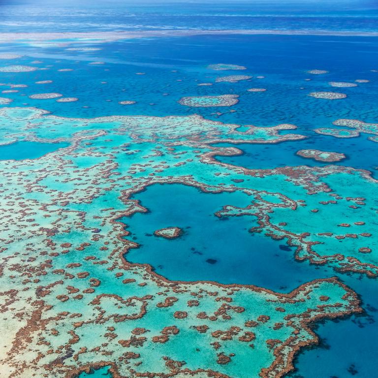 Great Barrier Reef ‘in danger’, says UNESCO | news.com.au — Australia’s ...