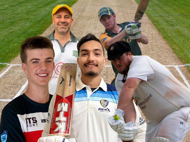 The reserve grade stars of New South Wales cricket.