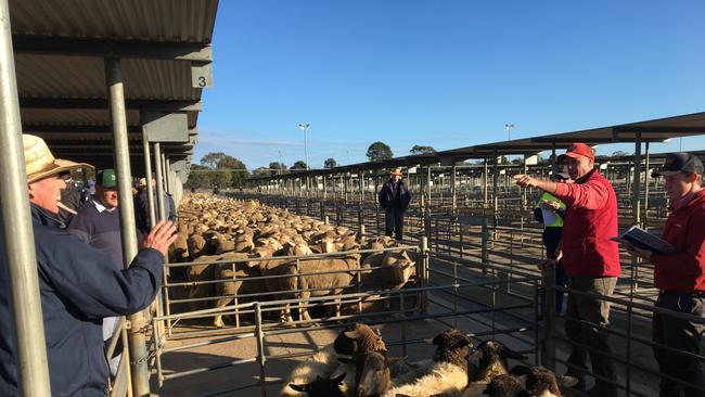 Taking action: A drastic cut to saleyard numbers has halted the downward spiral of lamb prices.