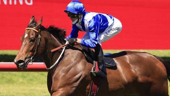 Talented mare Libertini worked solo between races at Rosehill and pleased trainer Anthony Cummings. Picture: Getty Images