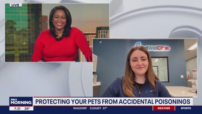 Protecting pets from accidental poisonings