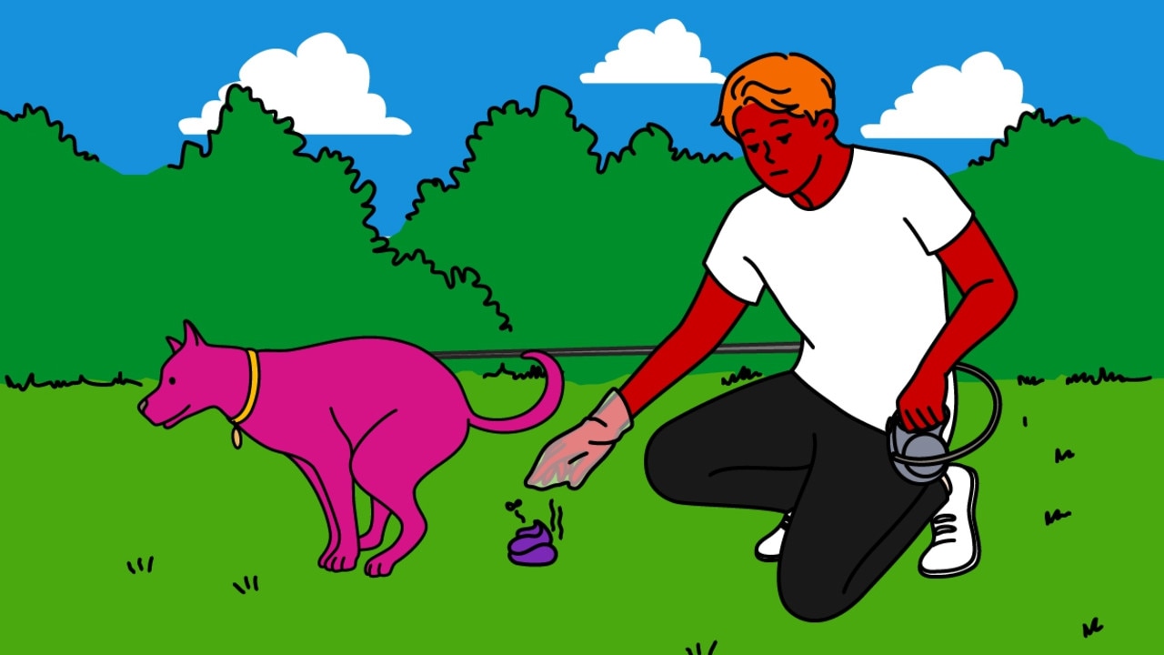 The Dilemma: I refuse to pick up my dog’s poo. Am I in the wrong?