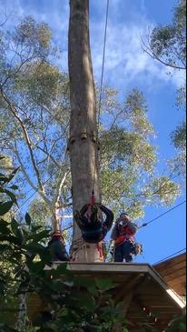 Supercars drivers zipline in Tasmania