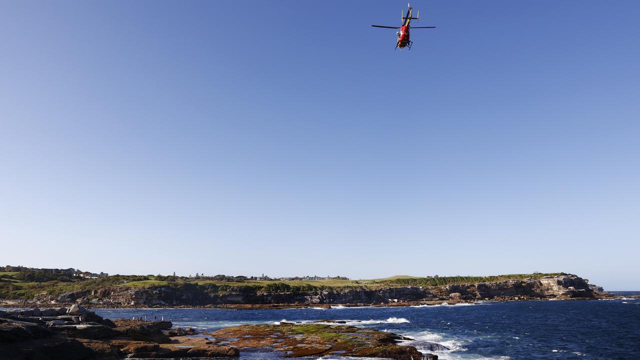 Police, Surf Life Saving NSW and local lifeguards have resumed a search today for the shark. Picture: Richard Dobson