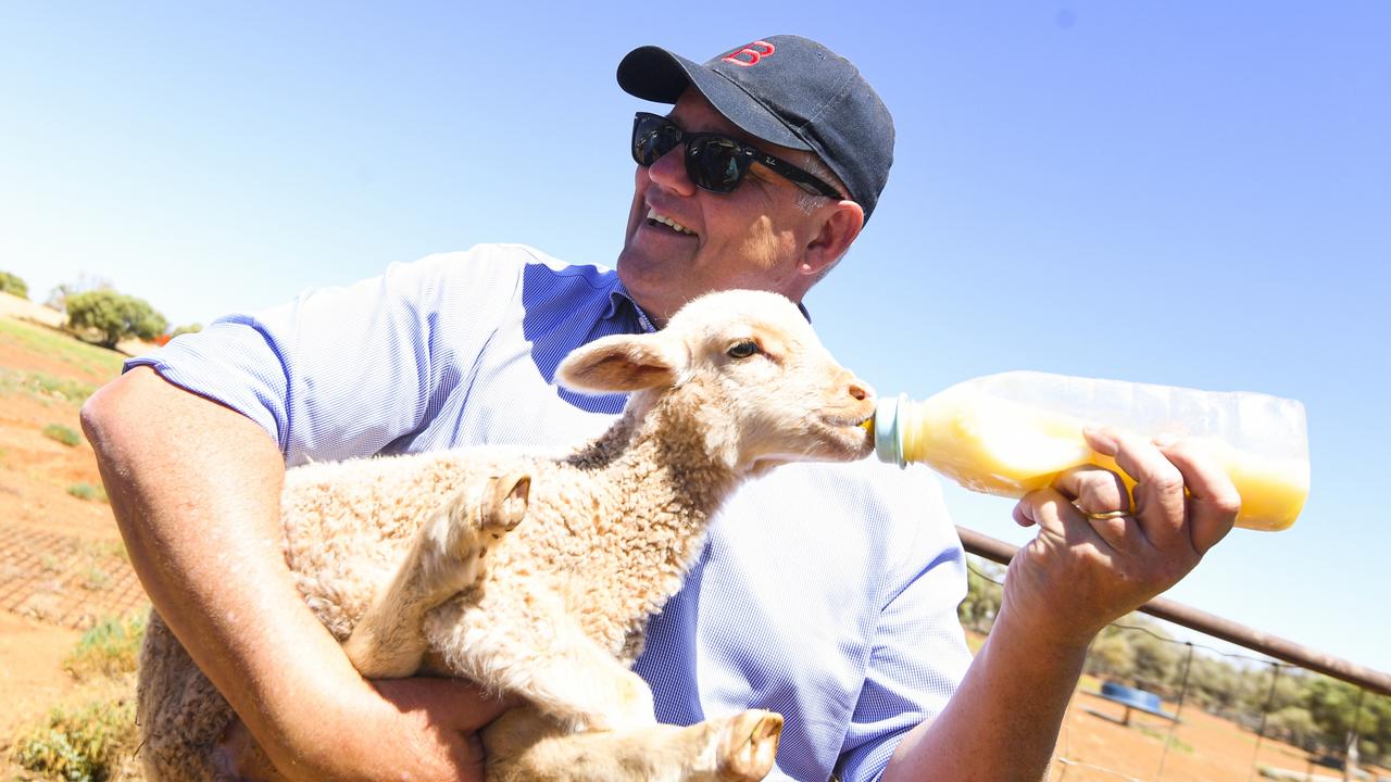 Prime Minister Scott Morrison feeds a lamb during a visit to Bunginderry Station outside Quilpie. Picture: AAP/Lukas Coch via NCA NewsWire.