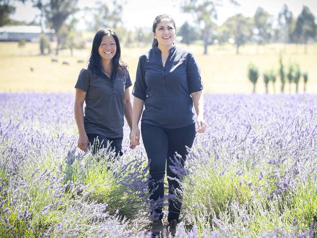 Essential Oils of Tasmania farm supervisor Daphine Ong, and technical and quality manager Clare McEldowney, in a field of lavender at Margate. Picture: Chris Kidd