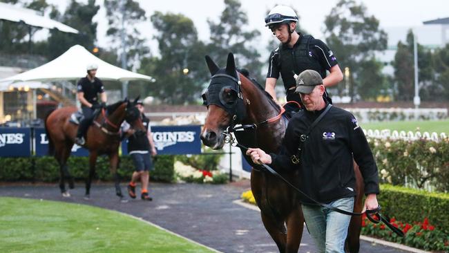 Two of Chris Waller’s Everest runners at Rosehill this week. Yes Yes Yes foreground, and Arcadia Queen. Picture: Rohan Kelly