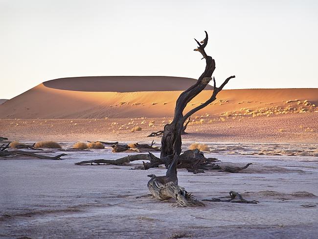 Deadvlei is an arid, lifeless place. Picture: Thinkstock