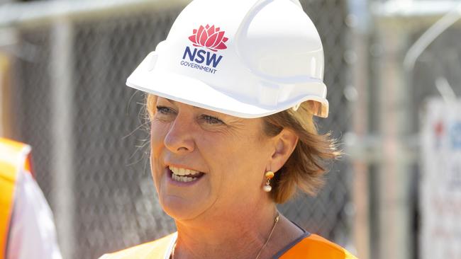 Housing Minister Melinda Pavey. Picture: Jenny Evans