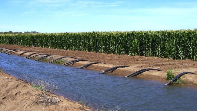 Crop top: Rural Funds Group’s Kerarbury station near Darlington Point in NSW.