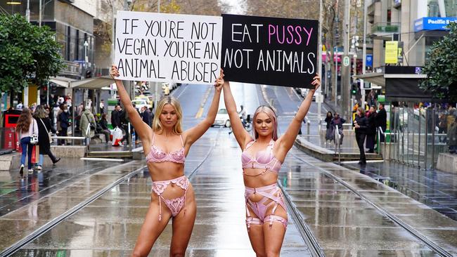 The activists wore pink lingerie on a dreary Wednesday afternoon to protest for animal rights. Picture: NCA NewsWire / Luis Enrique Ascui