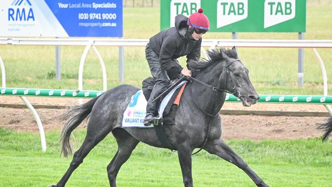 Valiant King is set and ready for the Cup. (Reg Ryan/Racing Photos via Getty Images)