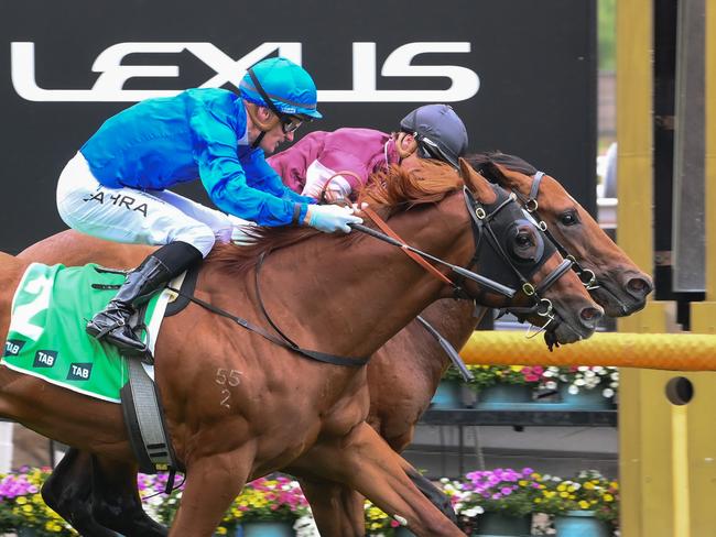 Shining Smile ridden by Daniel Stackhouse and Tentyris ridden by Mark Zahra dead heat for the win in the TAB Talindert Stakes at Flemington Racecourse on February 15, 2025 in Flemington, Australia. (Photo by George Sal/Racing Photos via Getty Images)