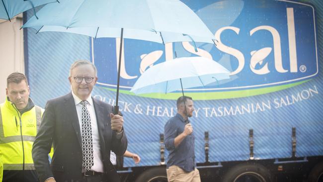 Anthony Albanese, during a January tour of the Tassal processing facility, is locked-in a showdown with Environment Minister Tanya Plibersek over the future of Tasmania’s salmon fisheries. Picture: Chris Kidd