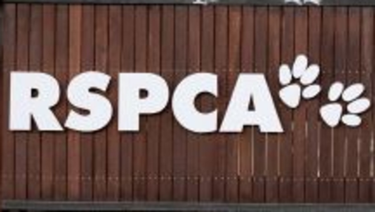 The woman is facing three charges brought by the RSPCA.