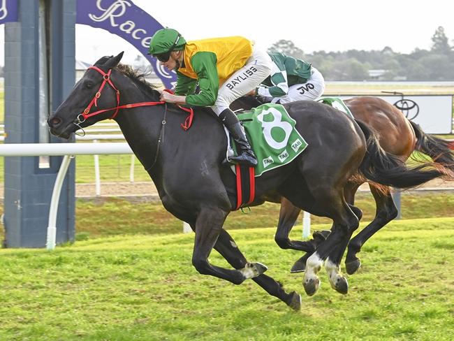 The Joe Pride-trained Weeping Woman looks hard to beat at Canterbury on Friday night. Picture: Bradley Photos