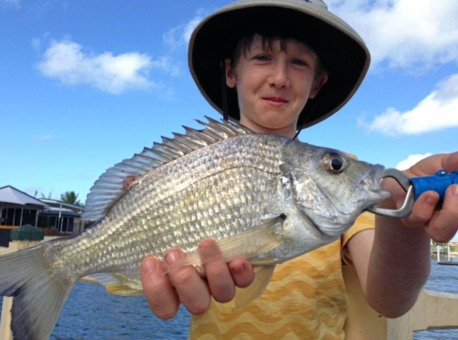 Ipswich City, QLD, Fishing