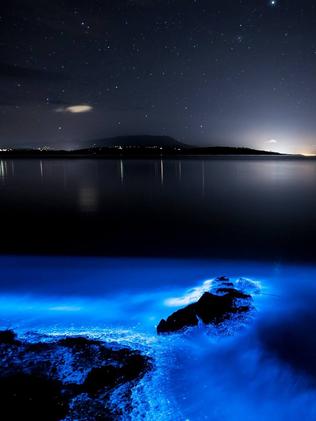 Sea Sparkle Lights Up Tasmanian Beaches 