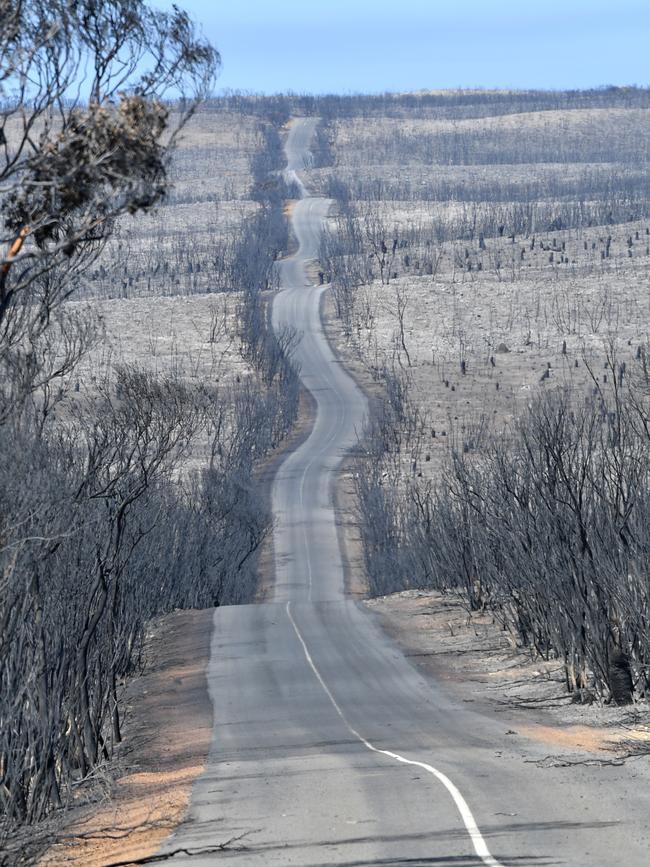 The same road after the fire. Picture: AAP / David Mariuz