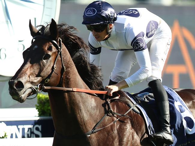 SYDNEY, AUSTRALIA - FEBRUARY 10: Tom Sherry riding Amor Victorious wins Race 9 ASI Solutions Handicap during "Inglis Millennium Day" - Sydney Racing at Royal Randwick Racecourse on February 10, 2024 in Sydney, Australia. (Photo by Jeremy Ng/Getty Images)