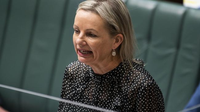 Environment Minister Sussan Ley. Picture: NCA NewsWire / Martin Ollman