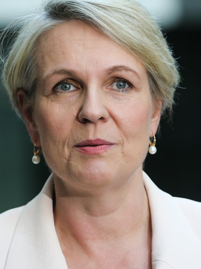 Environment Minister Tanya Plibersek. Picture: Gaye Gerard