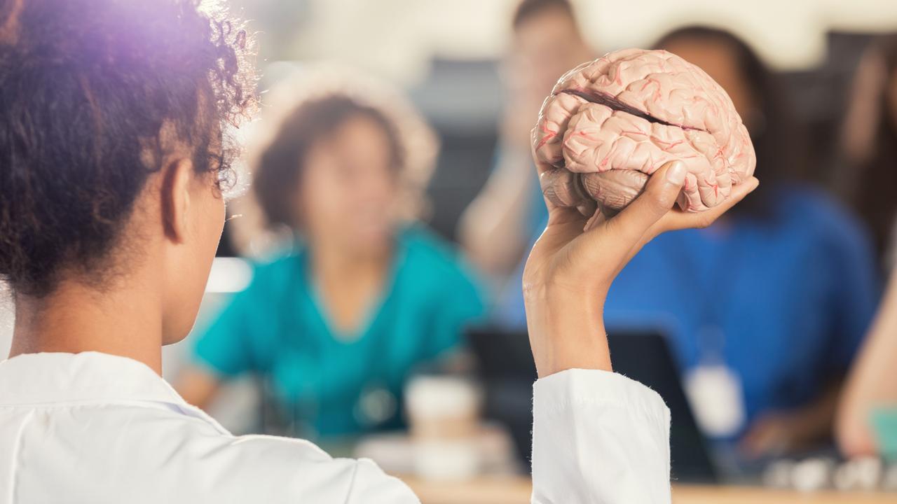 Female medical school professor teaches about the human brain
